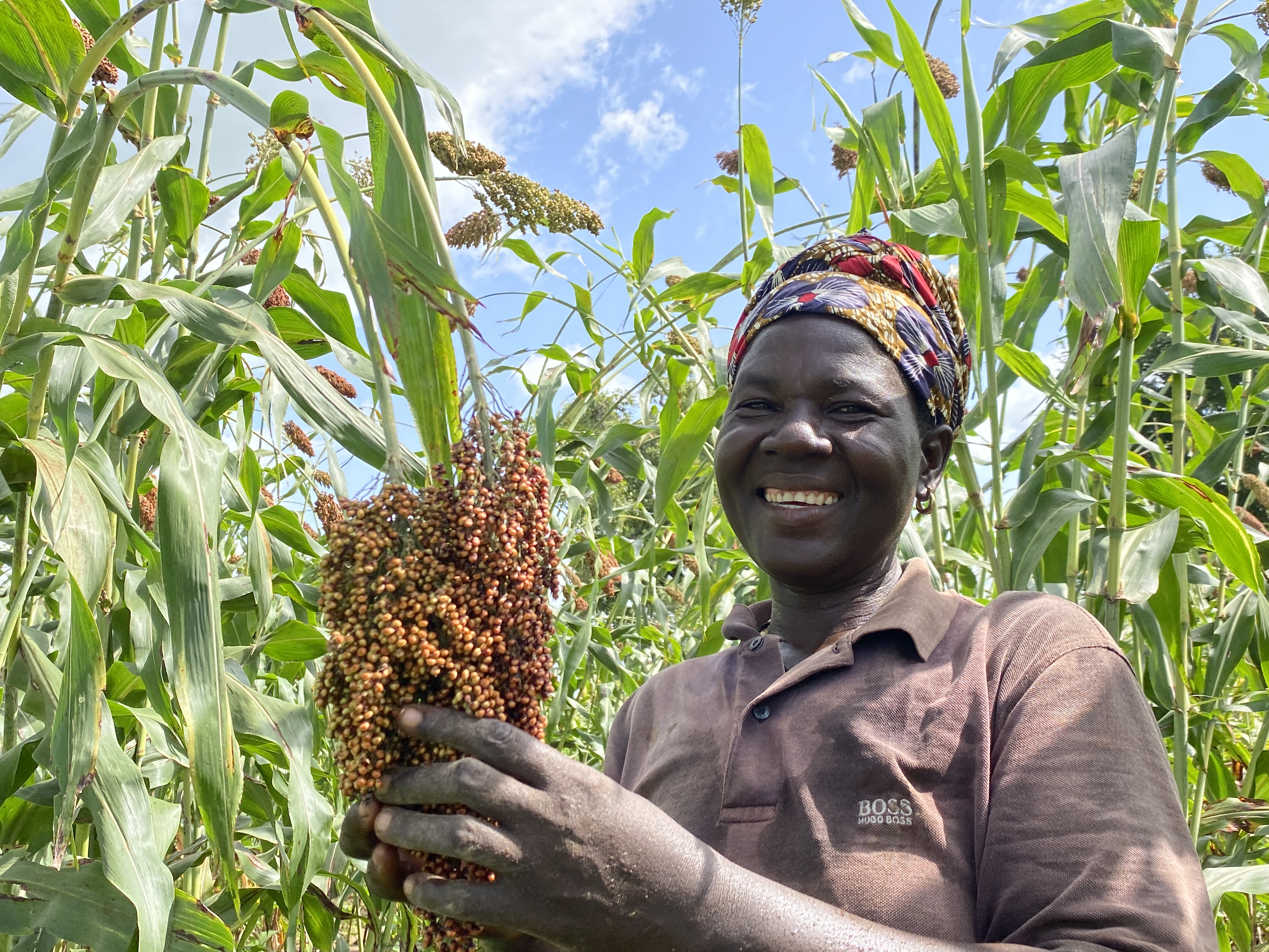 Livelihood & Agriculture